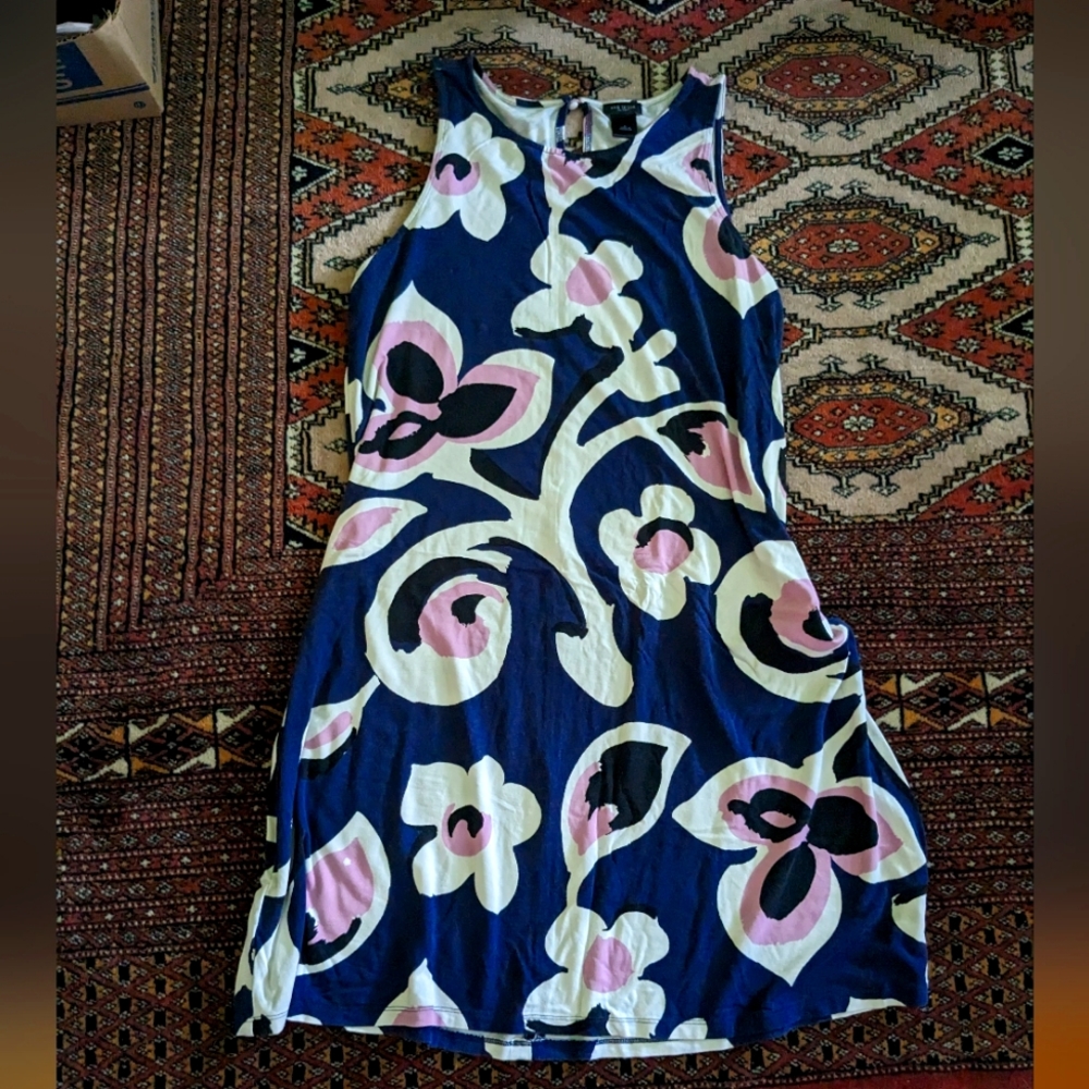 Ann Taylor Dress